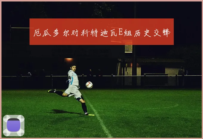 厄瓜多尔对科特迪瓦E组历史交锋