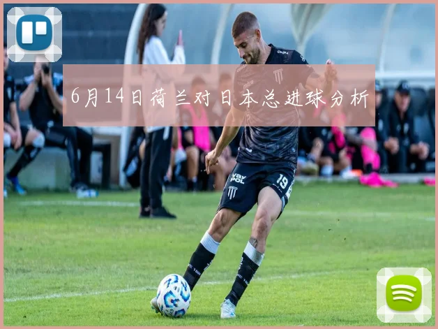 6月14日荷兰对日本总进球分析