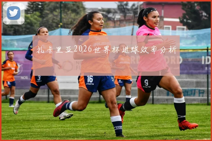 扎卡里亚2026世界杯进球效率分析