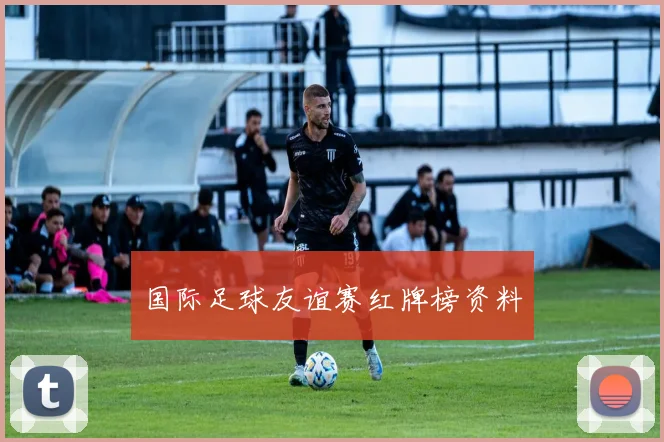 国际足球友谊赛红牌榜资料