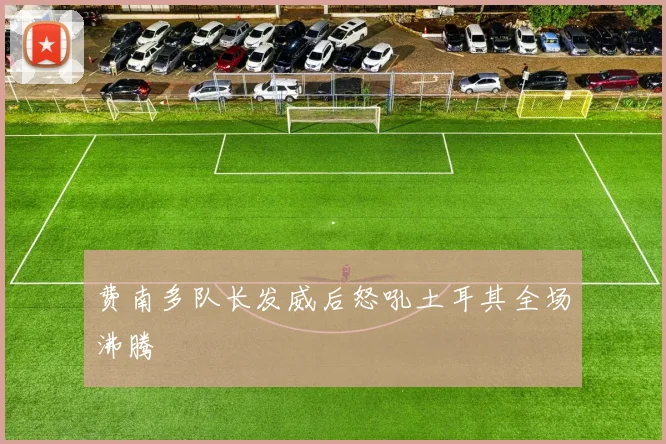 费南多队长发威后怒吼土耳其全场沸腾