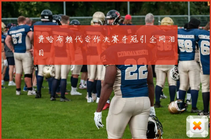 费哈布赖代合作决赛夺冠引全网泪目