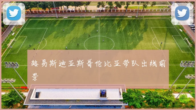 路易斯迪亚斯哥伦比亚带队出线前景