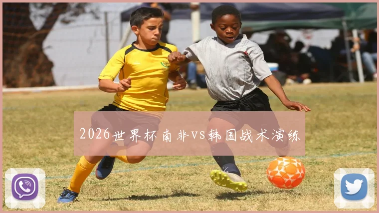 2026世界杯南非vs韩国战术演练