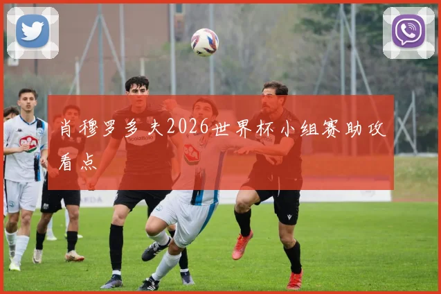 肖穆罗多夫2026世界杯小组赛助攻看点