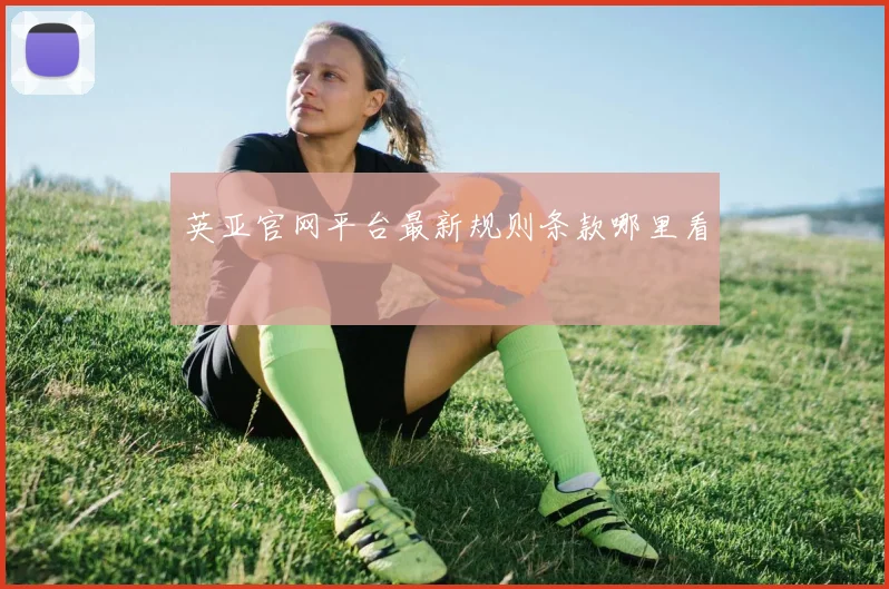 英亚官网平台最新规则条款哪里看