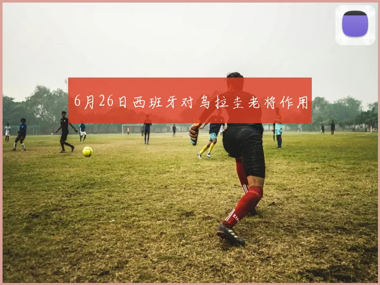 6月26日西班牙对乌拉圭老将作用