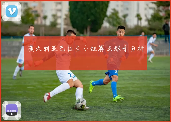 澳大利亚巴拉圭小组赛点球手分析